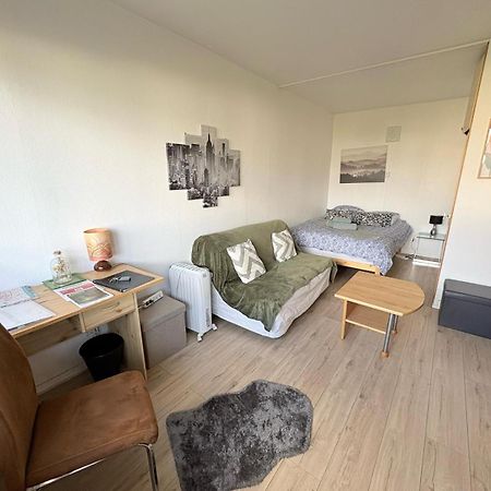 Studio Rdc Calme Avec Parking Ferme Pres Autoroute Et Tram C Mulhouse Luaran gambar