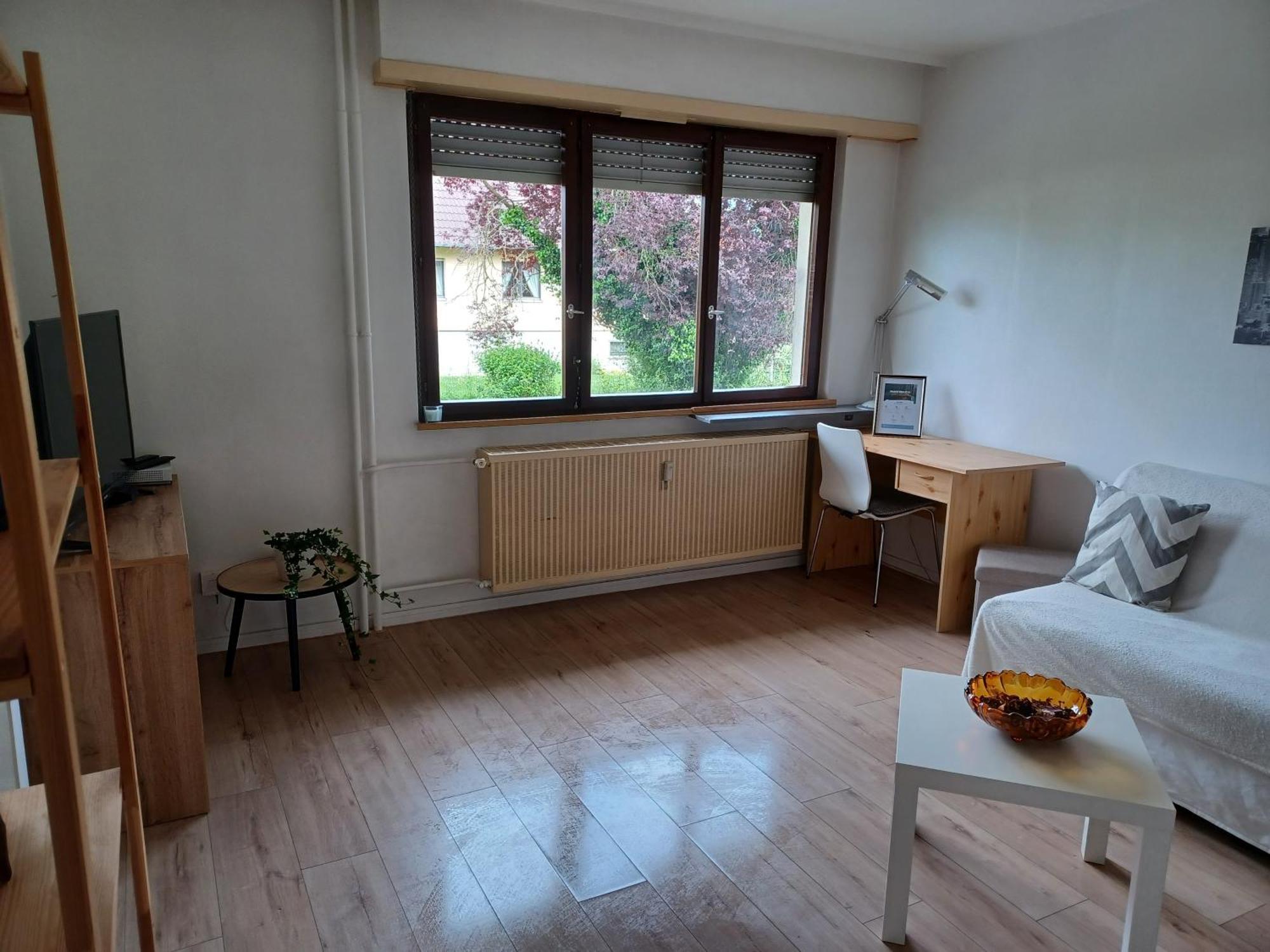 Studio Rdc Calme Avec Parking Ferme Pres Autoroute Et Tram C Mulhouse Luaran gambar