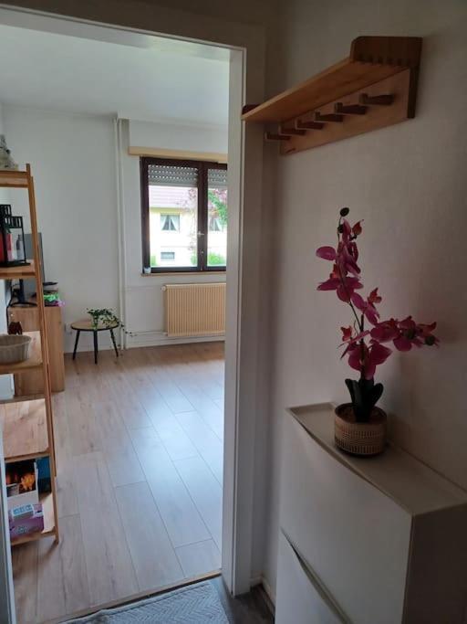 Studio Rdc Calme Avec Parking Ferme Pres Autoroute Et Tram C Mulhouse Luaran gambar