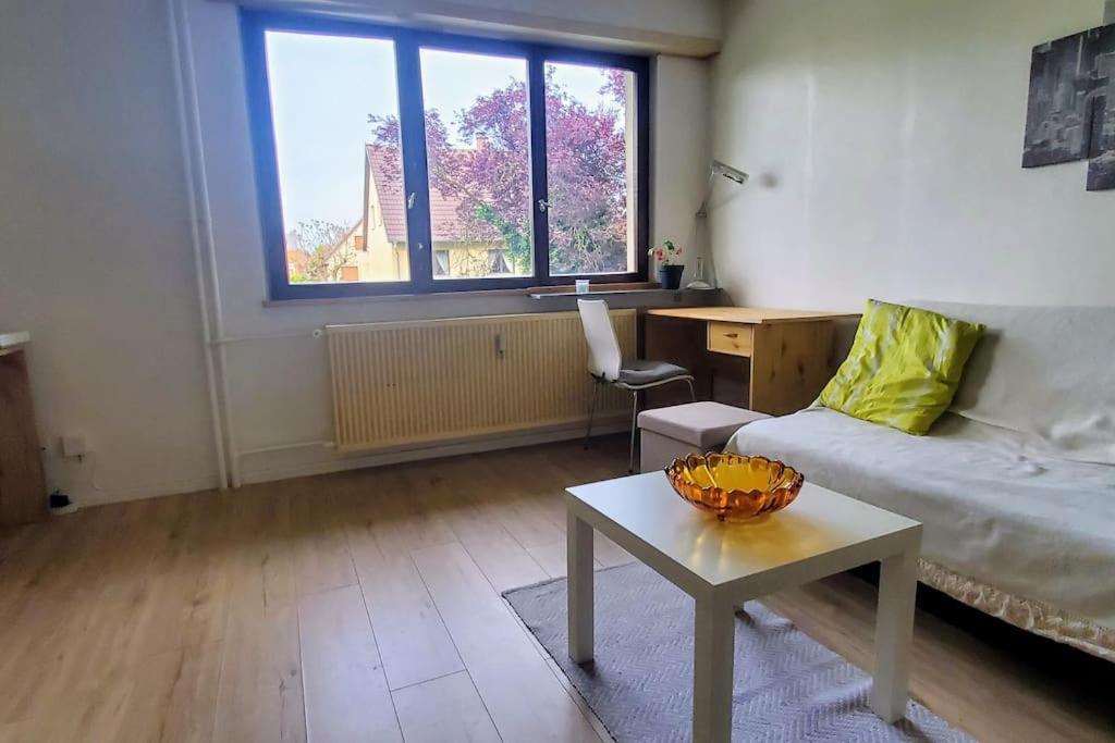Studio Rdc Calme Avec Parking Ferme Pres Autoroute Et Tram C Mulhouse Luaran gambar