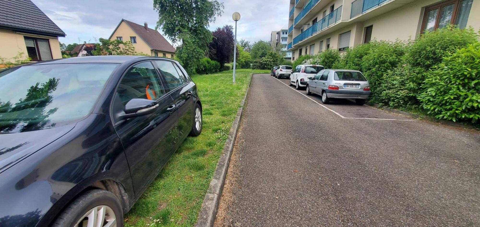Studio Rdc Calme Avec Parking Ferme Pres Autoroute Et Tram C Mulhouse Luaran gambar