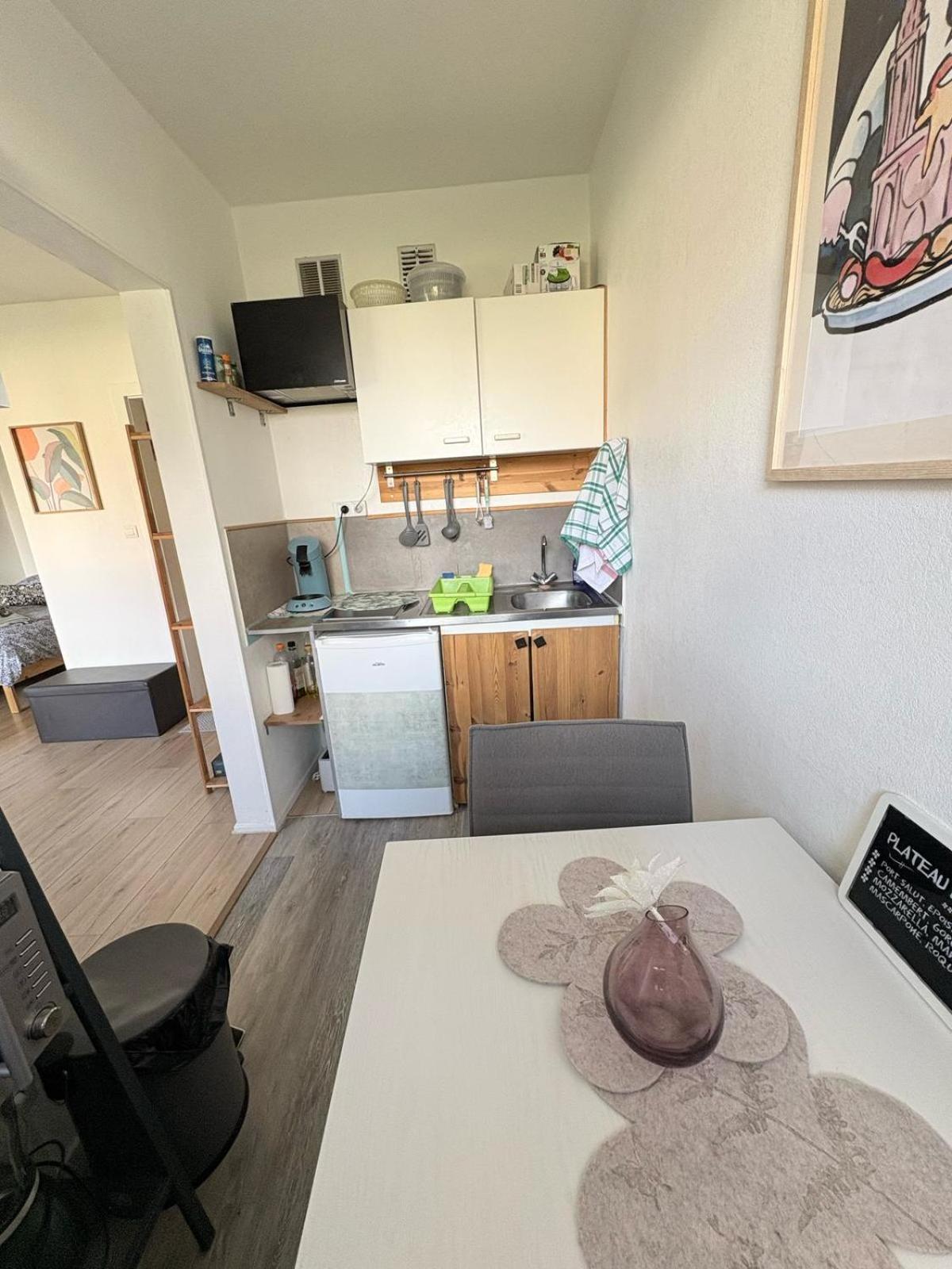 Studio Rdc Calme Avec Parking Ferme Pres Autoroute Et Tram C Mulhouse Luaran gambar